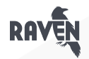 Raven Tools Site Auditor